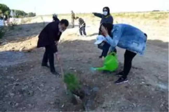 Son dakika haberleri... Didim'de ağaçlandırma seferberliğine destek olundu