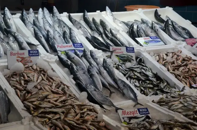 Ordu'da balıkçı tezgahları şenlendi