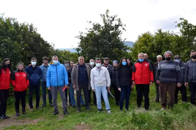 Köyceğiz'de üreticilere turunçgil yetiştiriciliği eğitimi verildi