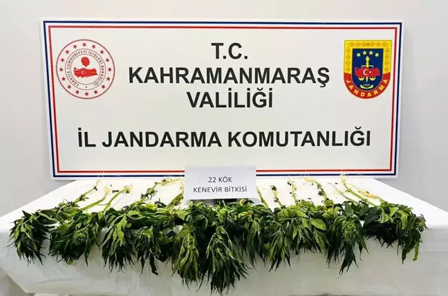 Kahramanmaraş'ta uyuşturucu operasyonu