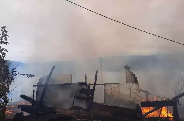Sinop haber: Sinop'ta köyde çıkan yangında 5 ev kullanılamaz hale geldi