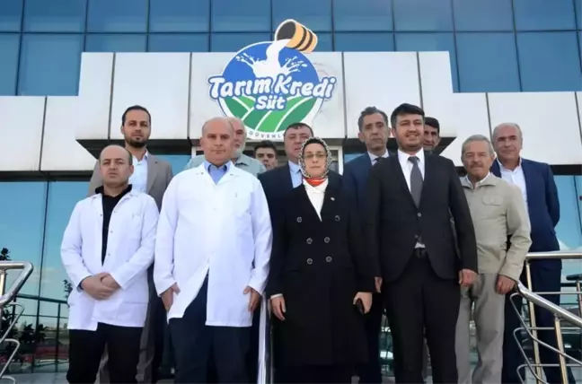 Ankara yerel haberleri: Ankara Milletvekili Lütfiye Selva Çam Başkan Alp'i ziyaret etti