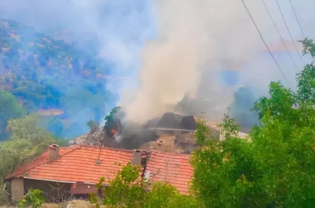 Ankara'nın Nallıhan ilçesinde samanlık ve değirmen yangını