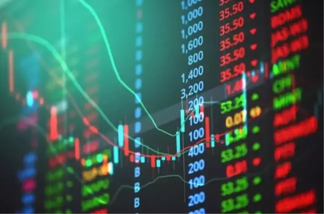 Dct Trading halka arz sonuçları ne oldu? Dct Trading, Dış Ticaret kaç lot verdi?