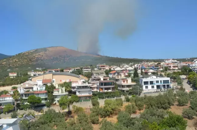 Erdek'teki yangın kontrol altına alındı