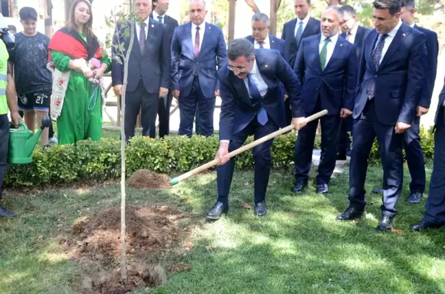 Cumhurbaşkanı Yardımcısı Cevdet Yılmaz Bilecik'te Çınar Ağacı Dikti