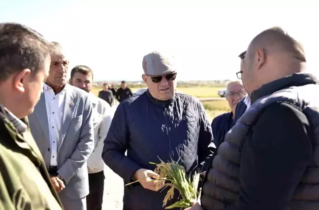 Çanakkale Milletvekili Gider, Dolu Zararını İnceledi