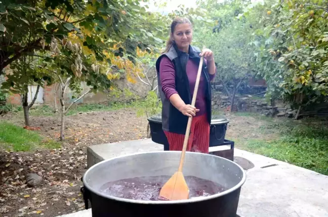 Bilecik'te Akdeniz Sineği Hurma Pekmezi Üretimini Vurdu