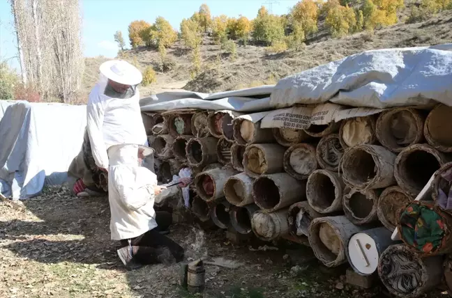 Bitlis'te Karakovan Balı Hasadı Başladı