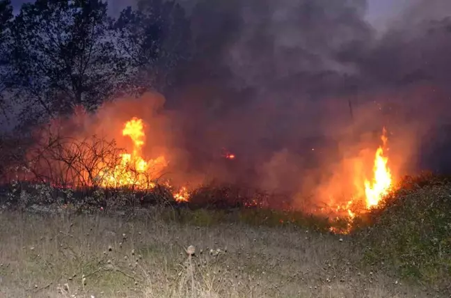 Sinop'taki Orman Yangını Kontrol Altına Alındı