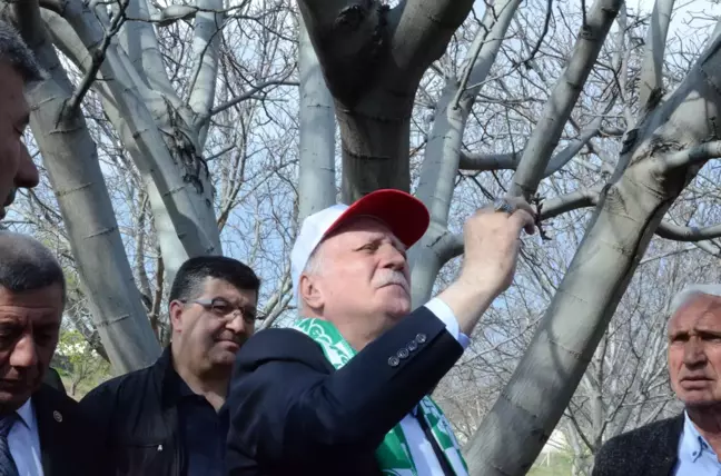 İklim Değişikliği Tarımda Felaket Yaratıyor