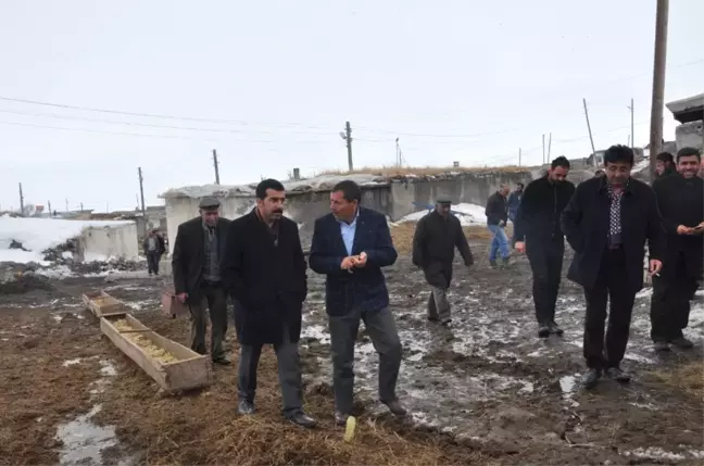 Milletvekili Beyribey ve İl Başkanı Çalkın Digor'da