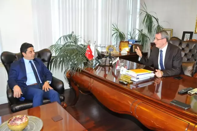 Murzioğlu: