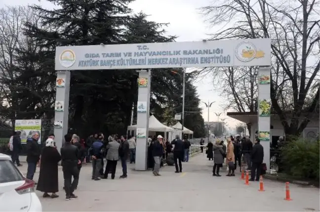 Yalova'daki Fetö Davasında, 9 Tahliye, 7 Tutuklama Kararı