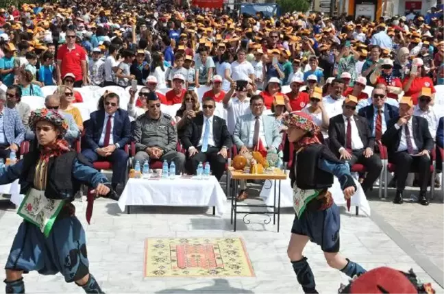 Milas'ta Topaç Çevirme Rekor Denemesi
