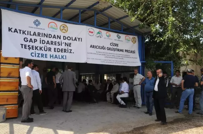 Cizre'de 50 Çiftçiye Bin 250 Arı ve 25 Arı Kovanı Dağıtıldı