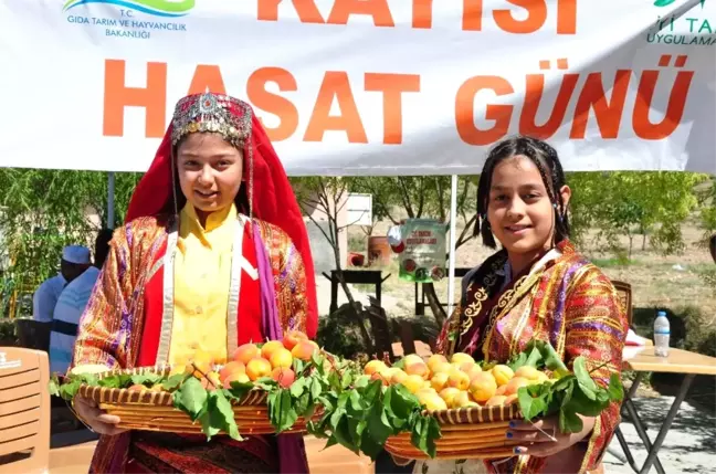 Elbistan Kayısısının Tanıtımı İçin İlk Kapsamlı Adım Atıldı