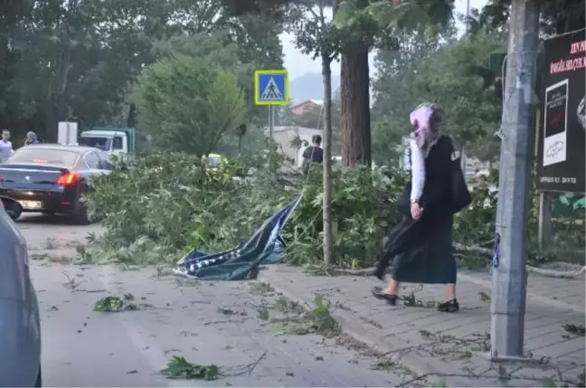 İstanbul'a İnemeyen Uçaklar, Bursa'ya Yönlendirildi