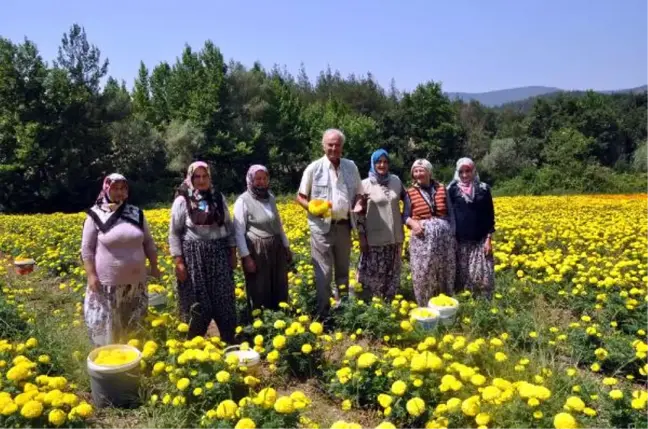 Sanatçı Ediz Hun Orhaneli'ye Hayran Kaldı