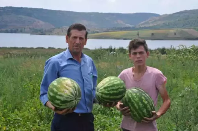 İnegöl'de Karpuz Hasadı Başladı