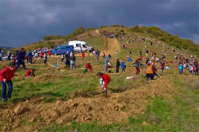 Öğrenci ve Öğretmenler Birlikte Fidan Dikti