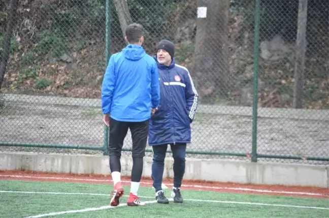 Terzi,