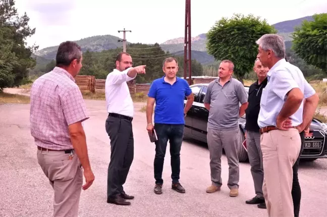 Kavaklıgil,