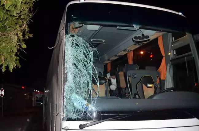 Aydın'da yolcu otobüsü tıra çarptı: 1 yaralı
