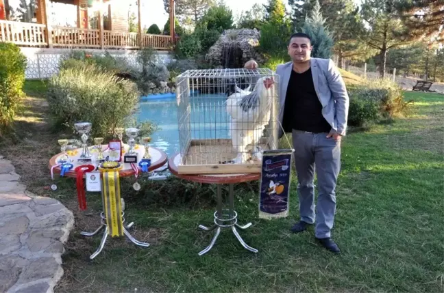 Araba parasına bir horoz iki tavuk