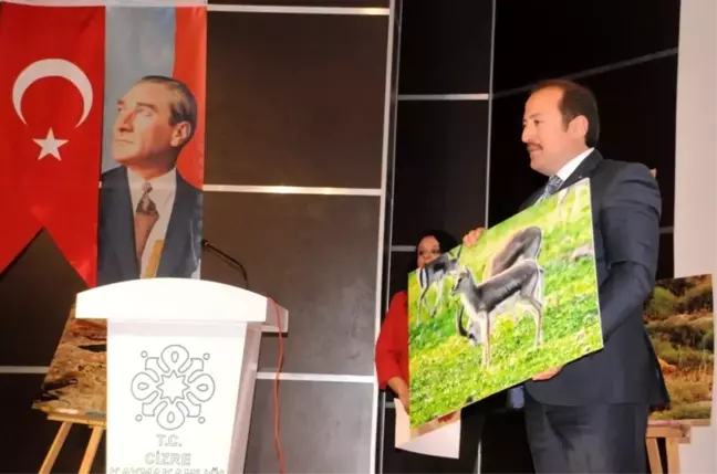 Cizre'de Cudi Dağı Ceylan Yerleştirme Sahası Projesi