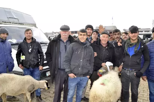 Afyonkarahisar'da küçükbaş fiyatları düştü