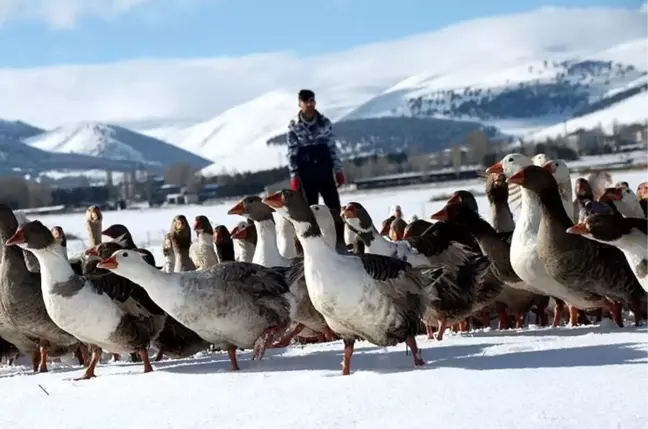 Ankara'da Kars, Ardahan, Iğdır Günleri başlıyor