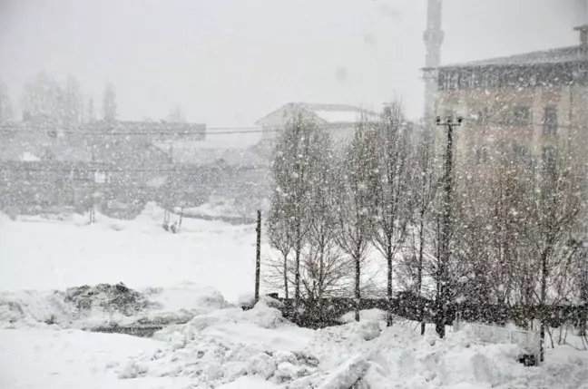 Yüksekova'da yoğun kar yağışı