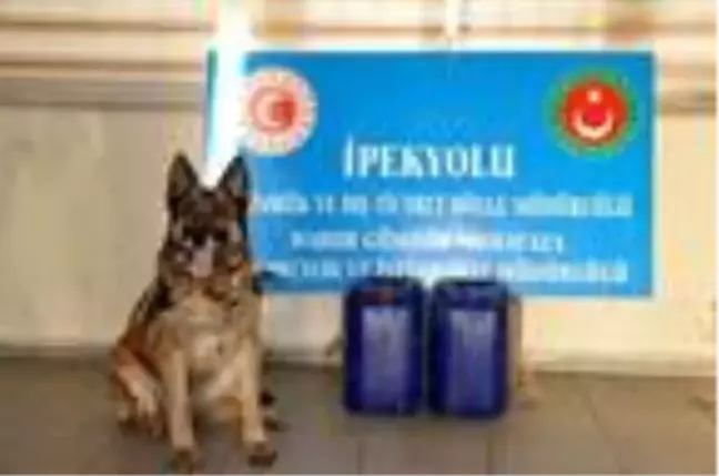 Habur Gümrük Kapısı'nda 42,7 kilo uyuşturucu ele geçirildi