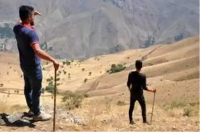 Tek geçim kaynakları olan koyunlarını dağ taş demeden arıyorlar