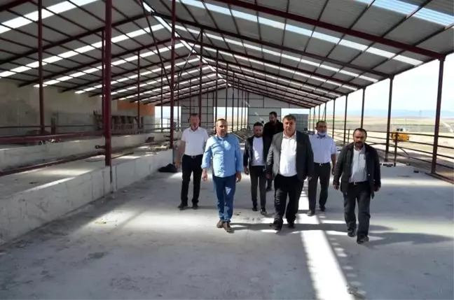 Beylikova'ya 200 baş hayvanlı işletme kurulacak