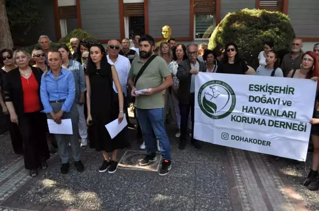 Eskişehir'de Sahipsiz Sokak Hayvanları Bakımevi İçin Hayvanseverler Bir Araya Geldi
