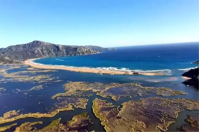 Dalyan'da Deniz Kaplumbağaları Koruma ve İzleme Projesi Sonuçları Açıklandı