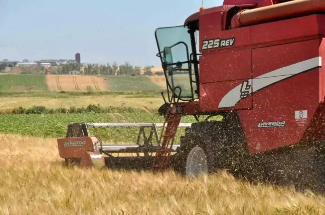 Keşan'da İlk Arpa Hasadı Başladı