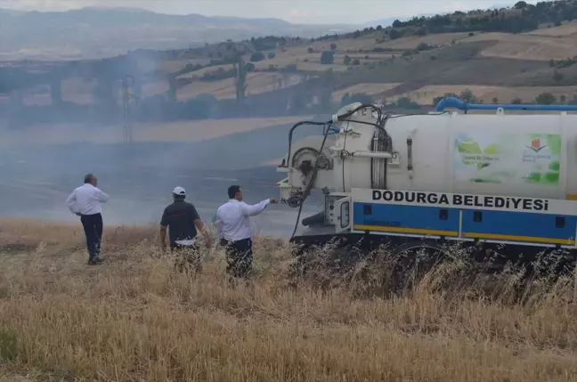 Çorum'un Dodurga ilçesinde anız yangını çıktı