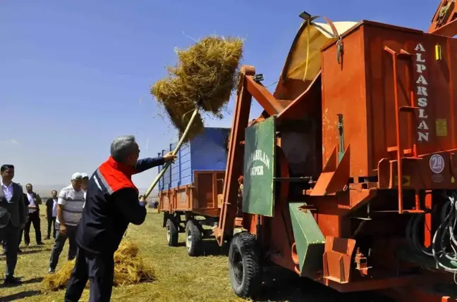 Yozgat'ta Yeşil Mercimek Üretim Alanı Arttı