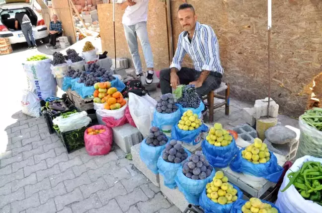 Batman'da Kara İncir Hasadı Başladı, Kilosu 50 Liradan Satılıyor