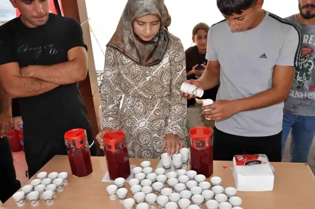 Batman'ın Hasankeyf ilçesinde doğal ortamda yetişen sumak, vatandaşların geçim kaynağı haline geldi