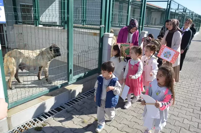 Öğrenciler Dünya Hayvanları Koruma Günü'nde Sokak Hayvanları Merkezini Ziyaret Etti