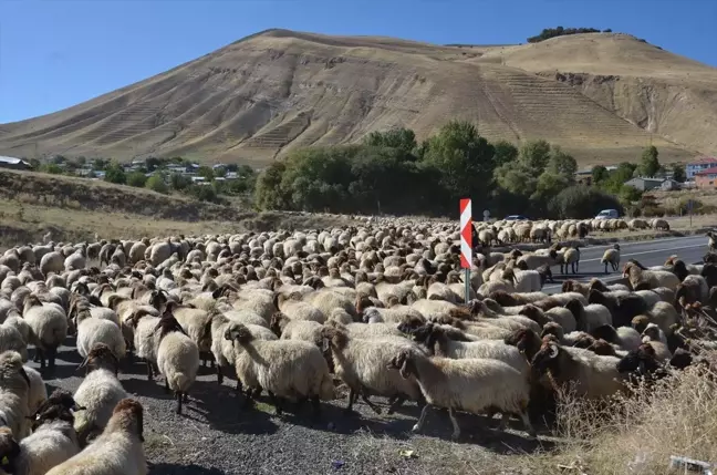 Göçerler Yaylalardan Dönüşe Geçti