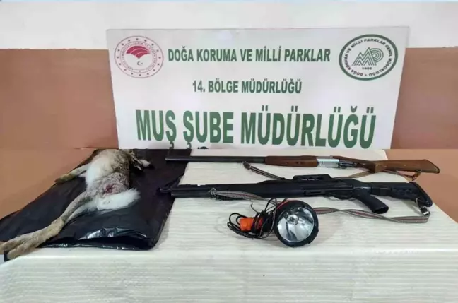 Muş'ta Av Belgesiz Tavşan Avlayan İki Kişiye 52 Bin TL Cezası