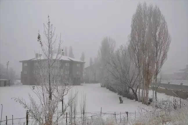 Yüksekova'da Soğuk Hava ve Sis Hayatı Olumsuz Etkiliyor