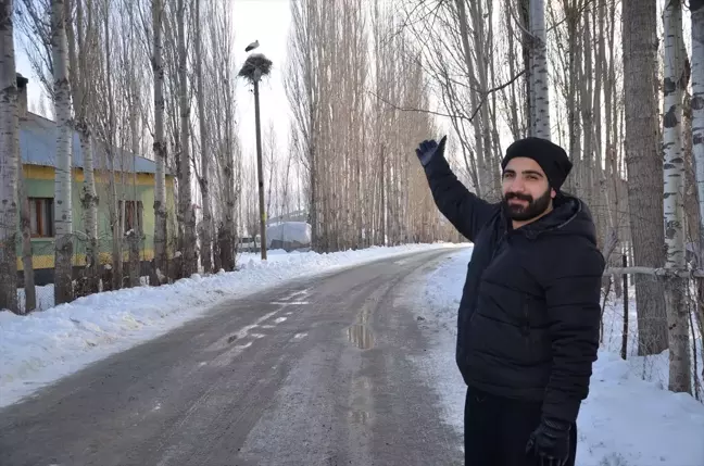 Hakkari'de Leylekler Kışın da Göç Etmiyor