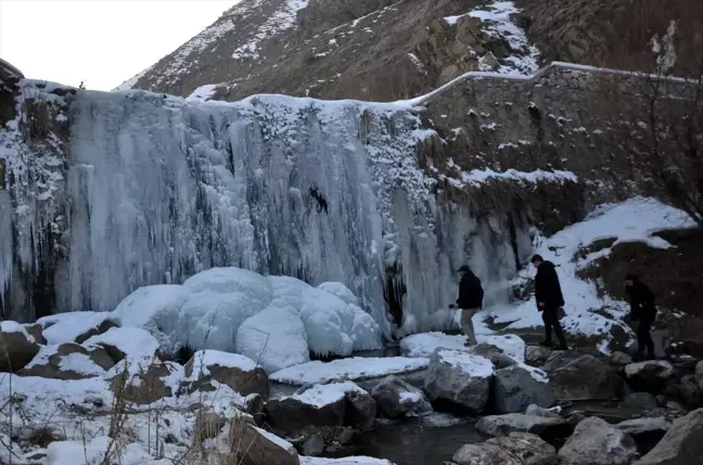 Muş'ta Çar Çayı Şelalesi Soğuk Hava Nedeniyle Dondu