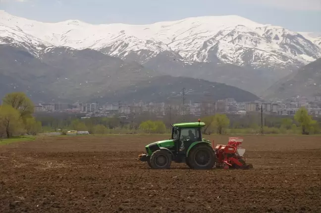 Muş'ta Çiftçiler Ekim İçin Tarlalara İndi
